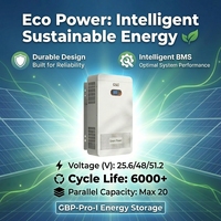 Batteries Solaires 48v 10kw 5kwh Pack de Batteries 24v Powerwall 51.2v 100ah 200ah 300ah Lithium-Ion Lifepo4 pour la Maison