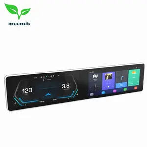 E654 dual 12.3 inch TFT EV Cluster Digital Car Dashboard Automotive Green Energy Odometer Customized Model