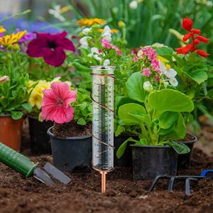 ग्लास सर्पिल बारिश गेज माप उपकरण उद्यान बारिश गेज के साथ धातु फ्रेम के साथ मापने कप ट्यूब ग्लास बारिश गेज - Product Image 3