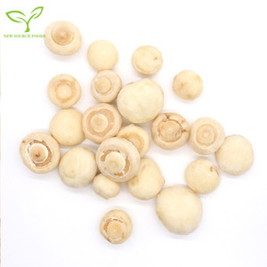 Leverancier Van Bevroren Witte Champignons <span class=keywords><strong>Of</strong></span> Agaricus Bisporus - Product Image 5