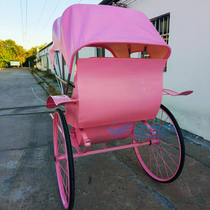 Charrette à chevaux à deux roues de haute qualité et élégante, chariot à chevaux pour poney en vente, rickshaw à vendre - Product Image 2