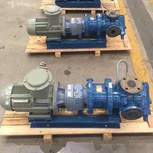 NYP Stainless Steel Gear Oil Pump With Self-priming Capacity Food Grade 0.4MPA Explosion-proof Motor NYP Series P50 Hydraulic - Product Image 2