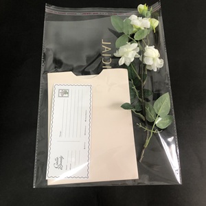 Hot Sale Custom Logo OPP Bag Women Shopping Plastic Bag Clothes Storage Bag Tshirt Packaging Poly Bag with Logo - Product Image 2