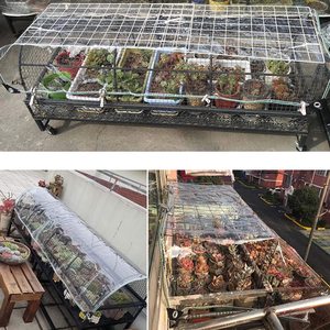 Telo Protettivo <span class=keywords><strong>Trasparente</strong></span> Resistente alle Intemperie <span class=keywords><strong>in</strong></span> <span class=keywords><strong>PVC</strong></span> Rinforzato con Occhielli per Balconi, Piante e Tende Antipioggia - Product Image 3