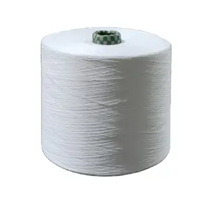 Wholesale Spun Yarn Raw White Ring Spun Polyester Yarn 30S/1 for Knitting