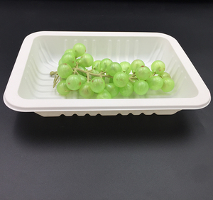 eco friendly disposable 100% bioplastic corn starch plate