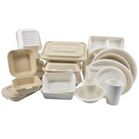 Vente en gros de récipients alimentaires biodégradables jetables canne à sucre bagasse boîtes à emporter ensemble de vaisselle bol à bagasse jetable