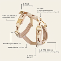Harnais pour chien en néoprène de luxe, robuste, réglable, design personnalisé pour teckel avec broderie