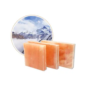 Hot sell natural Himalayan salt bricks building home salt room himalayan salt blocks pink BBQ dish stove winter hot seller