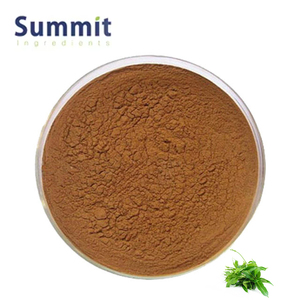 Ácido Ginêmico Pó Atacado <span class=keywords><strong>Gymnema</strong></span> <span class=keywords><strong>Sylvestre</strong></span> <span class=keywords><strong>Extract</strong></span> 25% Ácido Ginêmico - Product Image 1