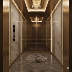 Ascensor de Diseño Moderno a Precio Competitivo, Ascensor Doméstico Asequible, Elevador Doméstico de Tracción sin Engranajes - Product Image 3