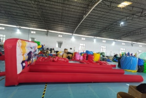 2025 Hot <strong>Sale</strong> Double lane Inflatable <strong>Bowling</strong> <strong>Alley</strong> Ten Pin <strong>Bowling</strong> Game - Product Image 4