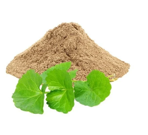 Poudre d'herbes de Gorakhmundi de qualité supérieure, extrait végétal botanique naturel, ingrédient ayurvédique traditionnel pour le bien-être quotidien - Product Image 2