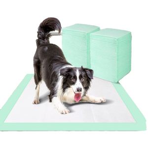 Protège-tapis jetables anti-fuites parfumés au citron vert, design tendance pour chiens, dressage d'animaux, protection contre l'incontinence et pour le sommeil - Product Image 1
