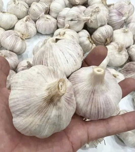 Ajo Fresco Vietnamita, Ail Frais Natural Premium, Bulbos Enteros de Ajo Blanco para Compradores Mayoristas - Product Image 2