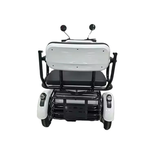 Triciclo Elettrico HLD all'Ingrosso a Tre Posti per Uso Domestico, Trike Elettrico con Carrozzeria Aperta a <span class=keywords><strong>3</strong></span> <span class=keywords><strong>Ruote</strong></span> per Adulti con Cestino Portaoggetti - Product Image 5