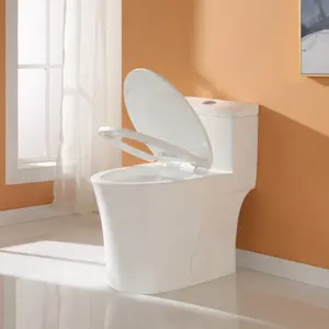 Produção Profissional Sifão Vítreo Jet Flushing Alongado Piso Montado Banheiro Wc Branco Tigela WC