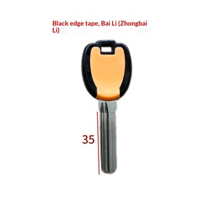 Llaves en Blanco para Grabado Láser Publicitario Boli, Sin Bloqueo AB, para Servicio de Corte de Llaves, Plástico/Latón, Modelo SS-GG - Product Image 3