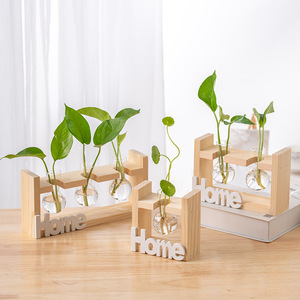 Jarrones de Vidrio Creativos con Marco de Madera al por Mayor, Jarrones Modernos y Sencillos para Decoración de Sala de Estar, Jarrón para Plantas Verdes - Product Image 5