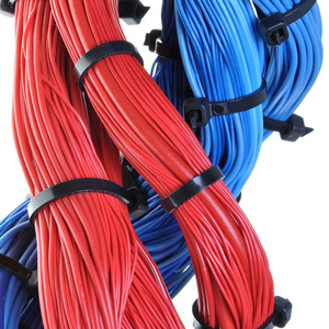 Bridas de nailon 66 personalizadas, 100 uds/PKT, bridas con cremallera autoblocantes de colores, envoltura de plástico de 200/300mm para objetos grandes y pesados - Product Image 4