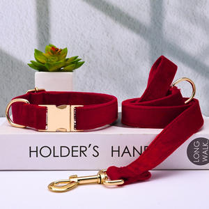 Collier pour <span class=keywords><strong>chien</strong></span> <span class=keywords><strong>en</strong></span> velours personnalisé avec boucle <span class=keywords><strong>en</strong></span> métal gravée, collier et <span class=keywords><strong>laisse</strong></span> réglables pour la promenade - Product Image 2