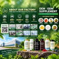 OEM/ODM Créatine en poudre à dissolution rapide en sachets, saveur pastèque, à consommer directement sans eau, complément nutritionnel sportif, marque privée