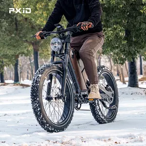 PXID ANTELOPE P5 Fatbike 24inch*4.0inch 1000W Full Suspension Ebike Off Road Electric Bike For Adult