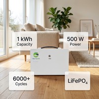 Système de stockage d'énergie résidentiel XDQ Pioneer1-500 1kWh LiFePO4 314Ah, générateur solaire 500W MPPT pour petite maison, OEM disponible