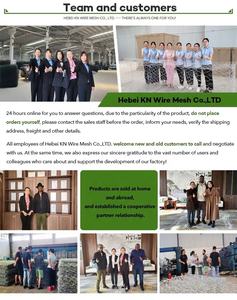 Cage en pierre renault coussin protection contre les inondations eau de rivière panier de gabion galvanisé boîte en treillis métallique enduit de pvc - Product Image 6