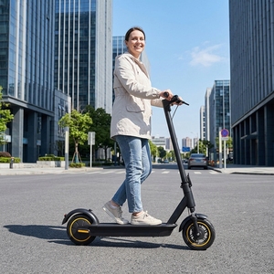 Scooter Eléctrico de Aluminio de 10 Pulgadas sin Escobillas para Adultos, Plegable, con Control por Aplicación, 500W, Personalización OEM/ODM, S10-1A Alum, Suministro de Fábrica - Product Image 4