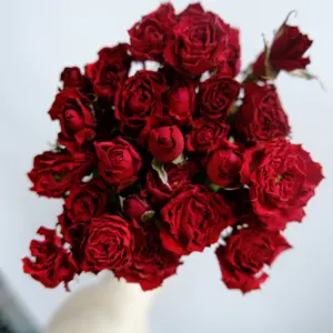 2021 nueva llegada Rosa flor rosa seca flor para el hogar Decoración de la boda