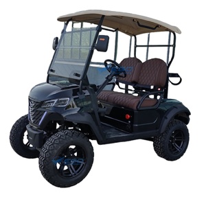 Voiturette de golf personnalisée pour 2 passagers – Meilleur prix – Voiturette de golf pour le tourisme en parc à vendre - Product Image 1