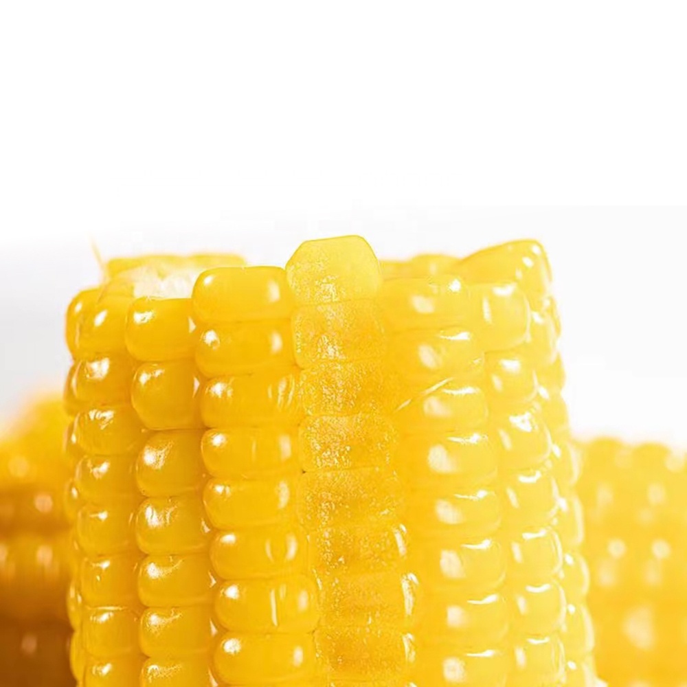 Maíz amarillo Cob al vacío, maíz dulce sin GMO, maíz fresco