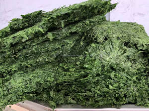 Ulva Aosa, copos picados secos, Aonori Nori, caja de ingredientes para alimentos de algas marinas, cartón de 10kg - Product Image 4