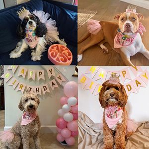 Conjunto <span class=keywords><strong>de</strong></span> Ropa para Fiesta <span class=keywords><strong>de</strong></span> Cumpleaños <span class=keywords><strong>de</strong></span> Perro, Falda Tutú Rosa, Corona, Lazo, Pañuelo, Pancarta, <span class=keywords><strong>Disfraz</strong></span> <span class=keywords><strong>de</strong></span> Cumpleaños para Cachorros - Product Image 4