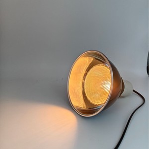 Lampe chauffante P20 à ampoule ronde en métal pour reptiles, tortues et lézards, supplémentation en calcium - Product Image 1