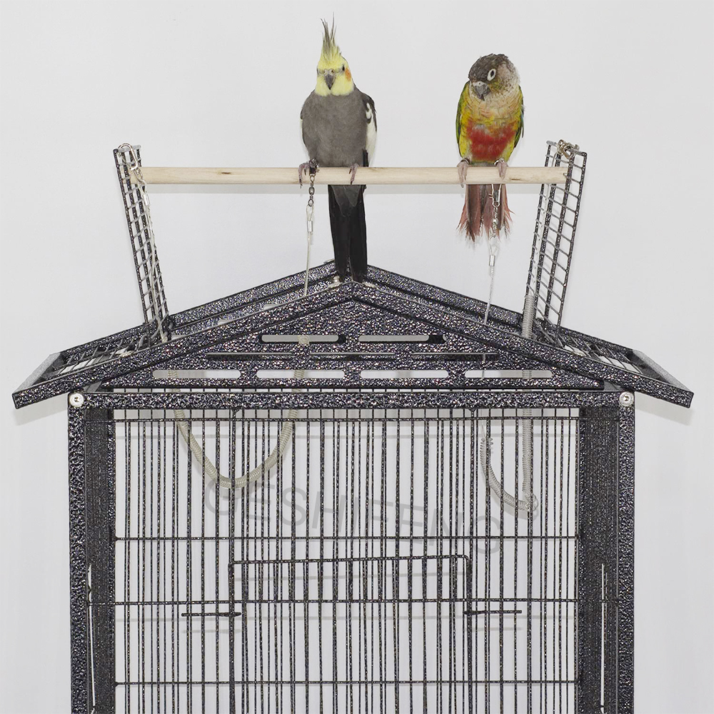 parrot cage twin large