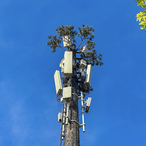 เสาโทรคมนาคมเหล็กแบบพรางตัวเหมือนต้นไม้สำหรับ 4G 5G Wifi พร้อมอุปกรณ์ติดตั้งครบชุด - Product Image 2