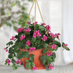 Bán buôn Dừa Sợi Treo Flower Basket, giá rẻ Rèn Giỏ Treo Sắt với <span class=keywords><strong>Coco</strong></span> Lót, Dây kim loại Treo <span class=keywords><strong>Planter</strong></span> - Product Image 6