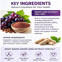 Nutrtech Marque Blanche Soutien Antioxydant Minceur Beauté Huile de Pépins de Raisin Compléments Alimentaires à Base de Plantes en Capsules HACCP Halal Direct Usine
