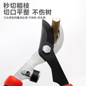 Hiroki Oka Pruning <b>Shears</b> 39cm Small Eagle Beak Bypass Garden <b>Tool</b> For Trees And Fruit Branches - Product Image 2