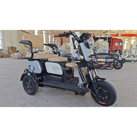 Tricycle électrique chinois 800W avec moteur sans balais, 3 places, autonomie de 55 km, scooter de bonne qualité pour adultes, directement de l'usine