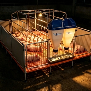 <span class=keywords><strong>Lit</strong></span> de nurserie pour porcelets avec mangeoire double face en acier inoxydable, clôture en PVC galvanisé à chaud et sol en plastique - Product Image 1