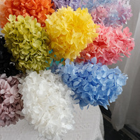 Bouquet de fleurs séchées en gros, tiges florales éternelles conservées, fleurs d'hortensia pour la décoration intérieure