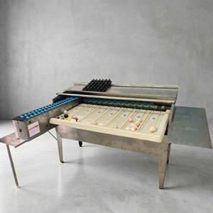 เครื่องแปรรูปไข่ไก่ JantaFarm 4500 ฟอง/ชั่วโมง สแตนเลส อัตโนมัติ คัดแยกและจัดเรียง รับประกัน 1 ปี - Product Image 1