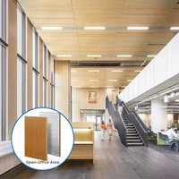 Panneau acoustique en aluminium micro-perforé de grande taille, OEM/ODM, aéroport international du Qatar, ignifuge, écologique, 5 ans