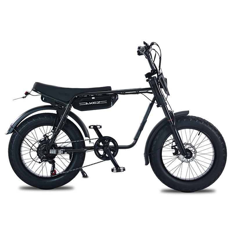 電動自転車キット ebikeキット 48v 750w 20インチ ファットバイク New ZX 750W Akez Super73 Electric Bike - 20