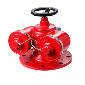 Connecteur de pompe à incendie en fonte DN20, durable pour les incendies de classe A et de classe B - Product Image 4