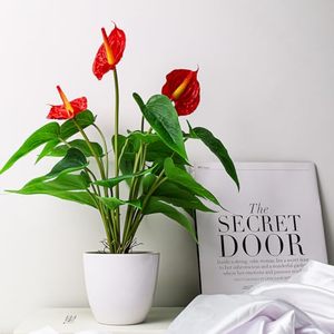 Bouquet d'Anthurium Rouge Artificiel Effet Naturel, 12 à 18 Têtes, Plante Verte Artificielle, Fleur Artificielle pour Décoration Intérieure Salon - Product Image 5