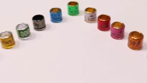 2025 Aluminium-Kunststof Fci Vereniging Duiven Ring Drager Groothandel Metalen Vogel Identificatie Ring Voor Duiven Gebruik - Product Image 2